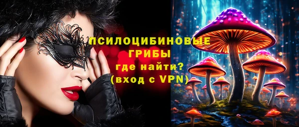 apvp Алексин