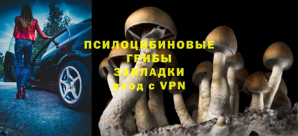 кокс Аркадак