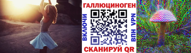 Галлюциногенные грибы Psilocybe  Данков 