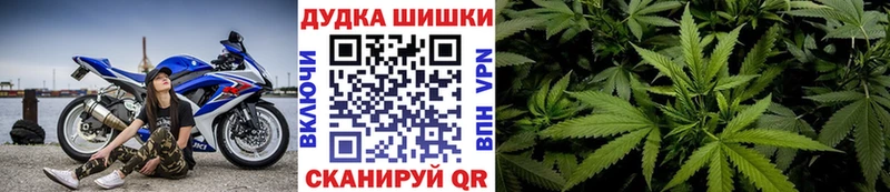 сайты даркнета Telegram  Данков  Марихуана план  купить  цена 